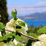 Vergina Star Hotel