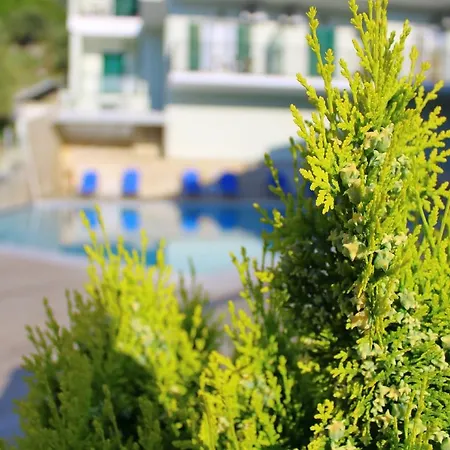 Vergina Star Otel 3*