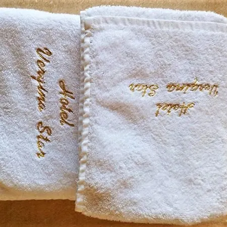 Vergina Star Ξενοδοχείο 3*