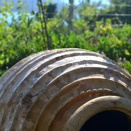 Vergina Star Nikiana