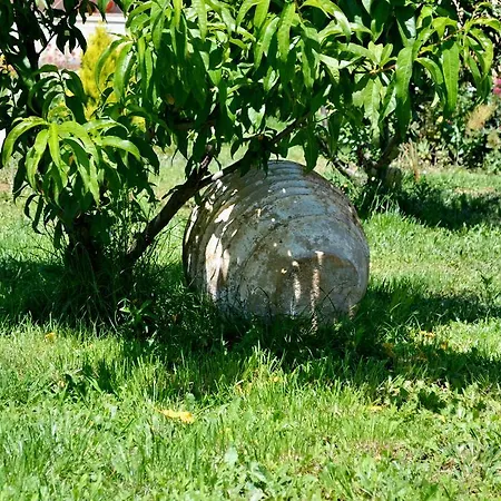 Vergina Star Otel Nikiana